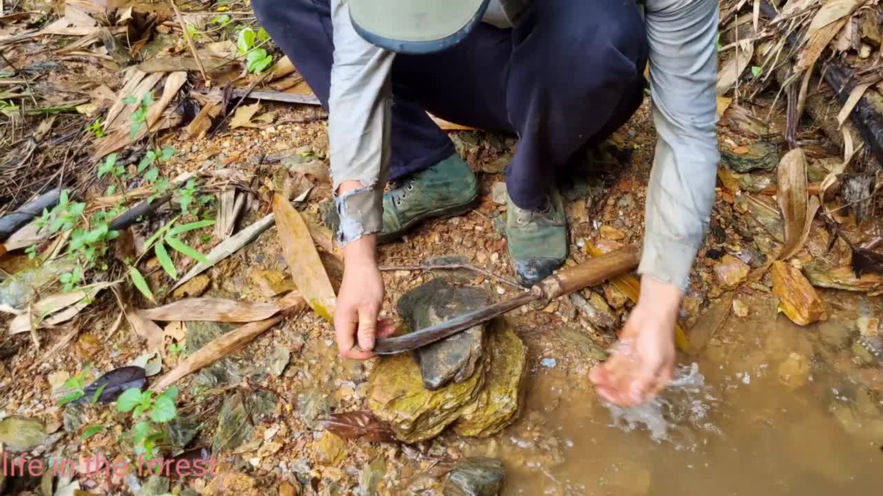 Life In The Forest,How To Bring Water Back, Build Outdoor Bath House 2022