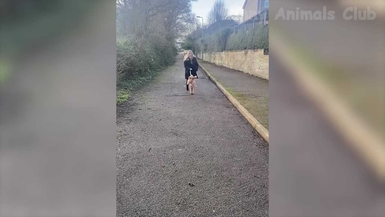 Funniest Animal 2023