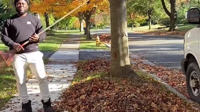 guy raking leaves , very funny