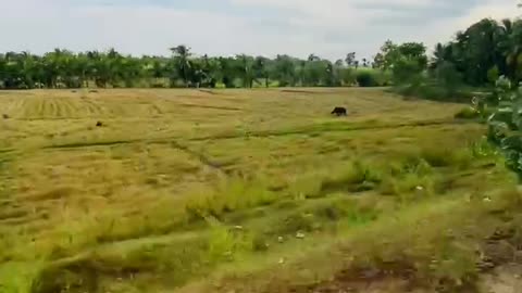 travel