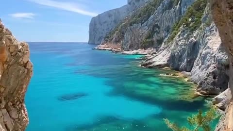 Nature is awesome