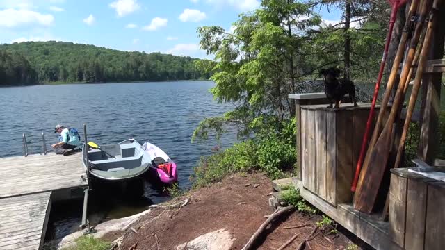 Crusoe the Dachshund's Fishing Trip on his own PRIVATE LAKE