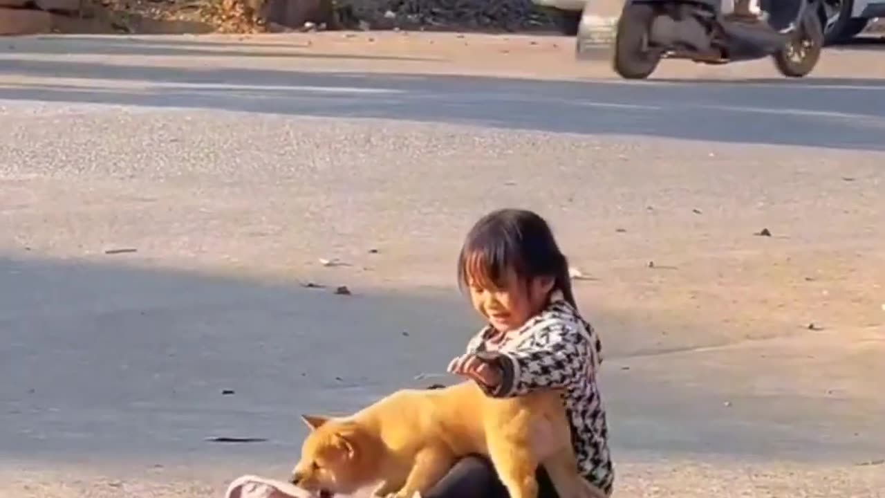 Husky & Baby Becoming Best Friends!!! #shorts #husky #baby