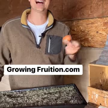 How to Escape the Rabbit Hole.