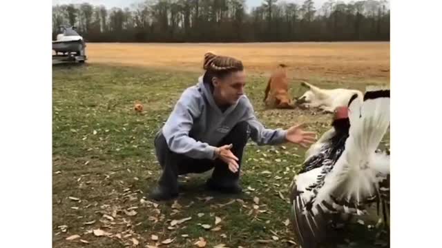 Pets time