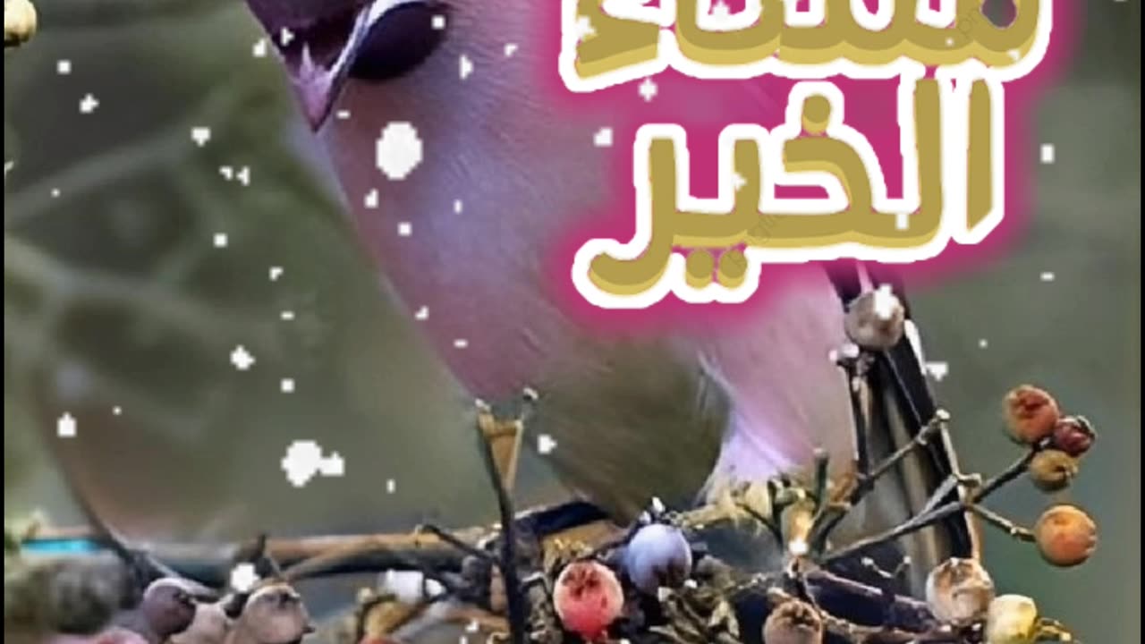 مساء الخير أدعية و أذكار #دعاء_لك_هذا_اليوم_المبارك