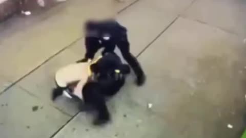 Illegal Migrants Beat Up Police Officers