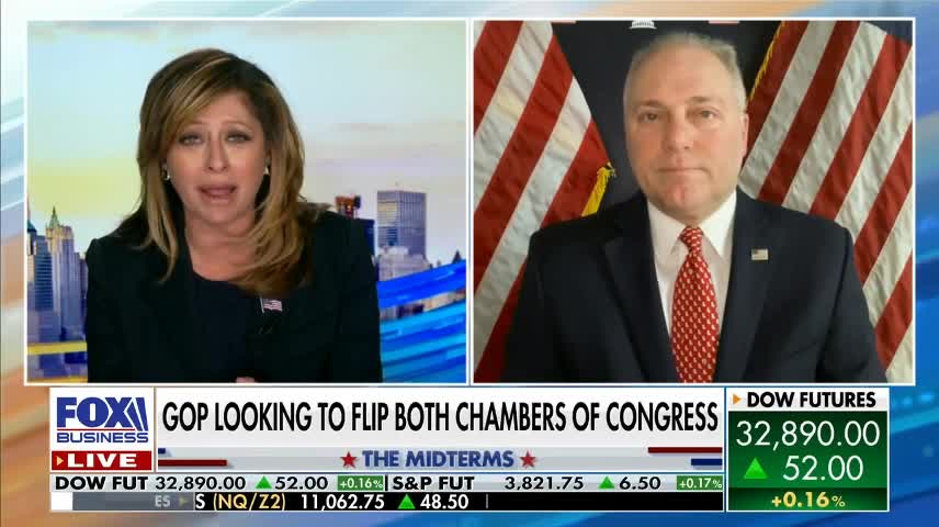 Democrats 'abused' power to enrich themselves: Rep. Scalise
