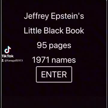 Names in Epstein's black book
