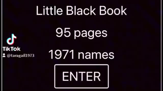 Names in Epstein's black book