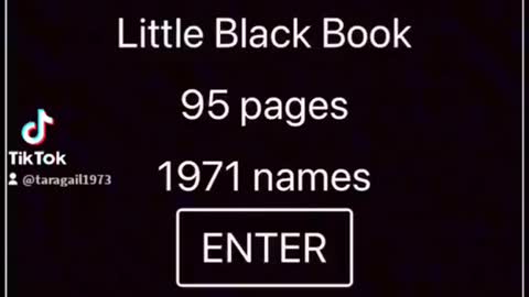 Names in Epstein's black book