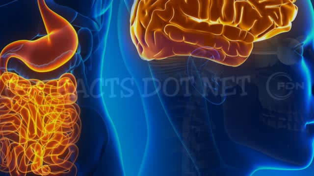 Did You Know? The Human's Second Brain || RANDOM, AMAZING and INTERESTING FACTS AROUND THE WORLD