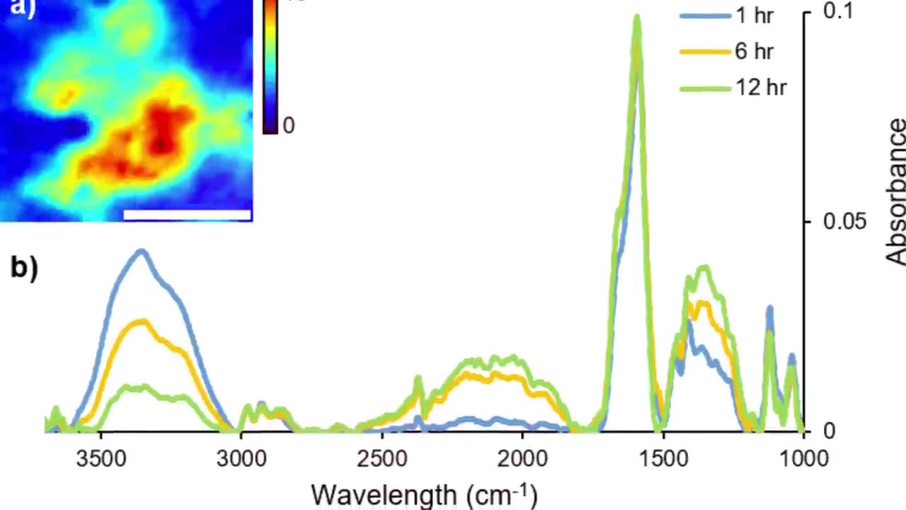 "Unlocking the Potential of TOI-715 b: NASA's Discovery of a Promising Super-Earth"