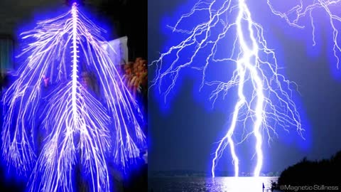 Humans are electric beings and here is a demonstration by analogy