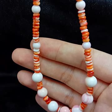 Natural turquoise and Princess spiny oyster necklace natural shell howlite choker04