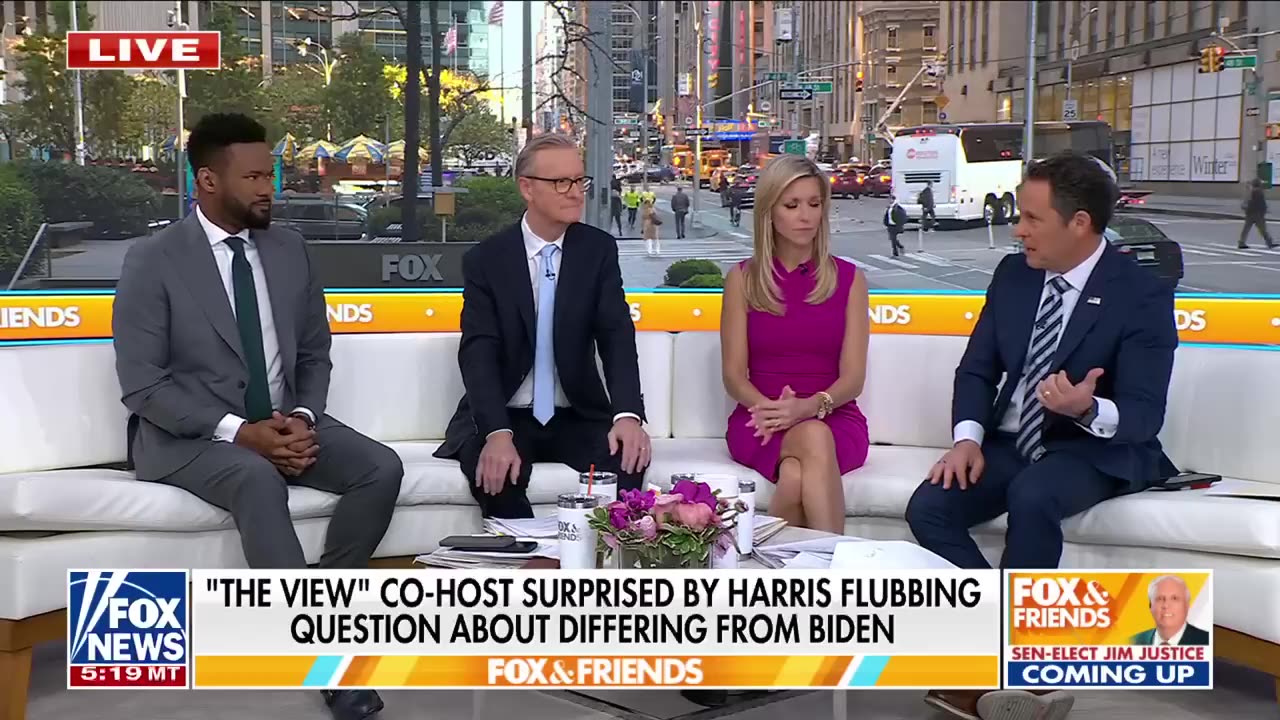 'View' host admits Kamala Harris flubbed 'layup' question 'It wasn't a gotcha question'