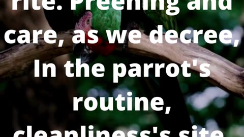 Feathers and Fables: Creative Explorations of Our Chatty Friends #poem #poetry #shorts #art👍👄🔔🛫✒️