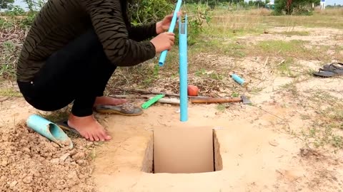 Easy Bird Trap Using Blue Pipe Cardboard and a Apple Fruit