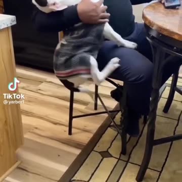 my chair is u human http://bit.ly/countyourblessu is the same