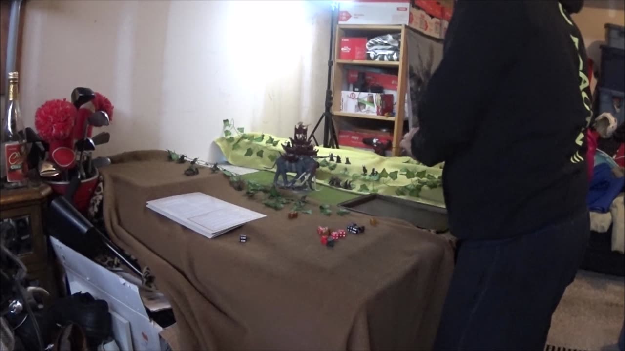Sabreena's Revenge Battle Report