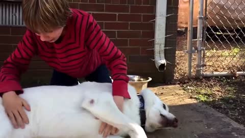 Boy and dog reunion surprise after a year apart.