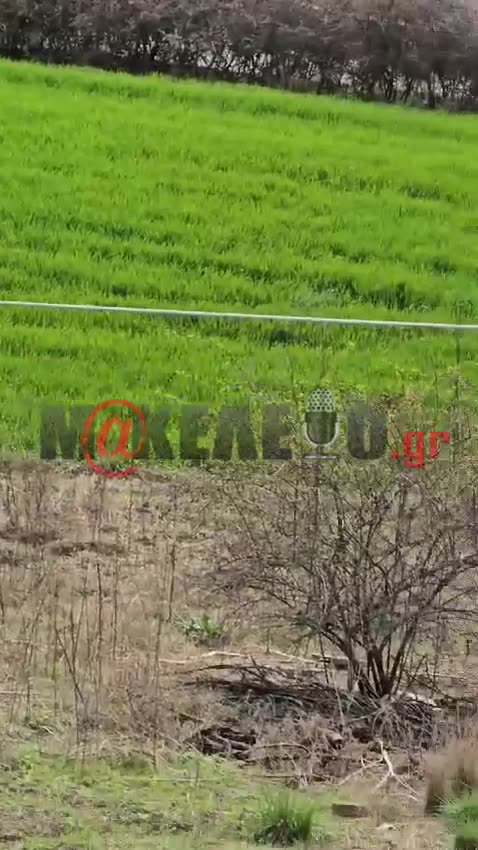 Εβρος αμερικανικα