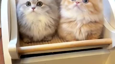 Heart melting cuties 🥰