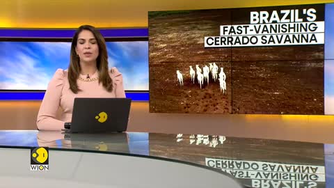 WION Climate Tracker_ Deforestation in Brazilian Savanna rises by 25%, says report _ WION