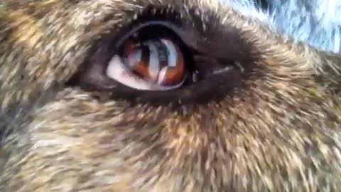 We got our eye on you!