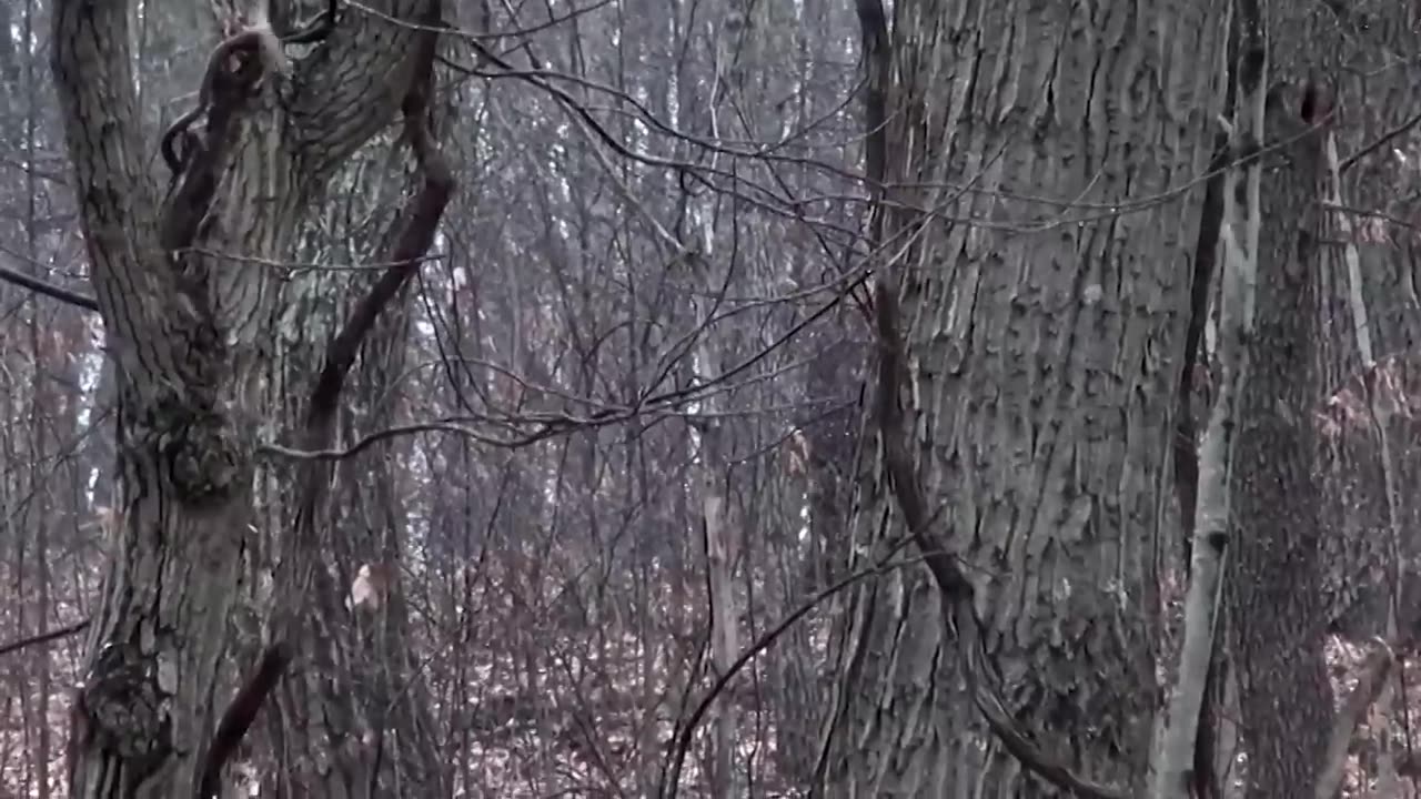GHOSTS AND DEMONS CAUGHT ON CAMERA _ A compilation of the internet's most divisive videos