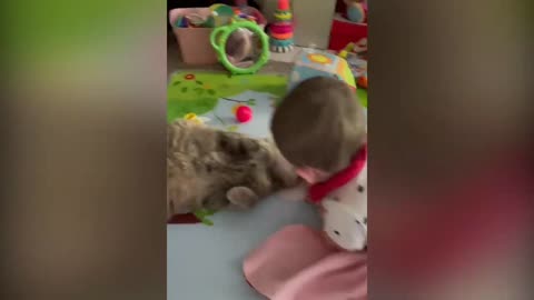 Cute baby playing with cat