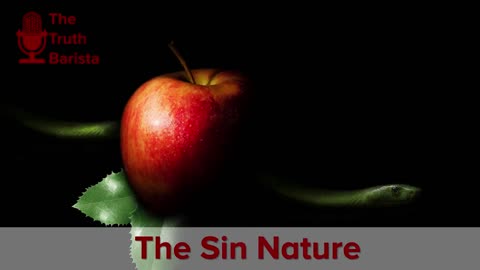 The Sin Nature