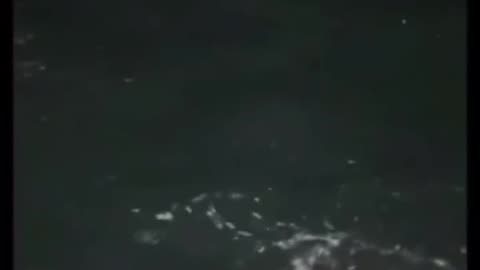 Siren tells man to jump
