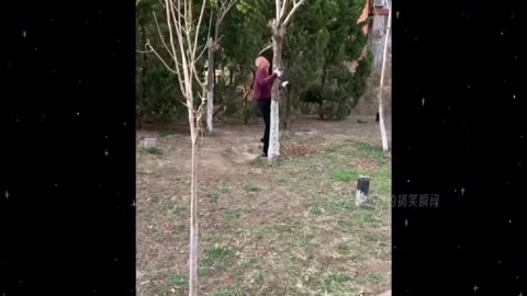 Chinese old man's Kung fu legend