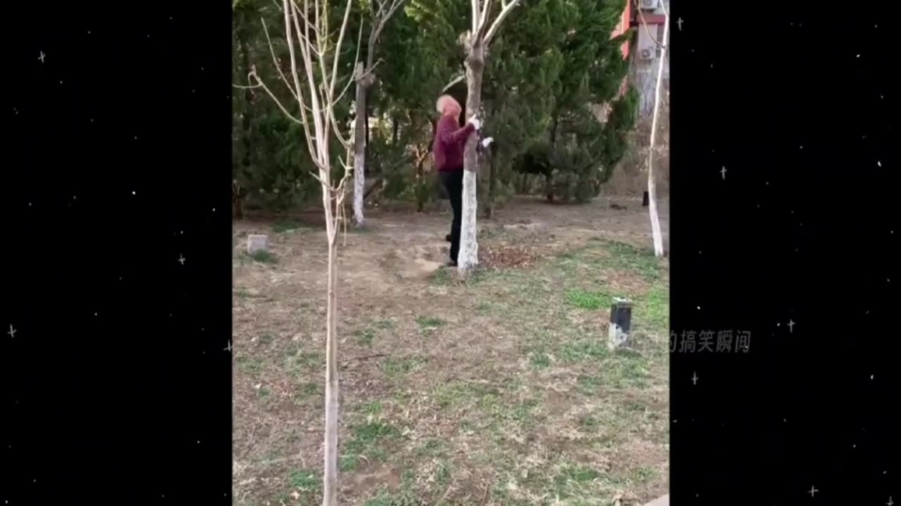 Chinese old man's Kung fu legend