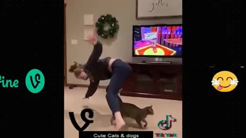 Best Funny Animal Videos Of The 2023 🤣 - Funniest Cats And Dogs Videos 😺😍😂🐶 Funny cat & dog videos 😍