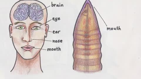 The Earthworm Song_Cut