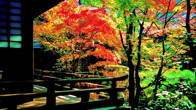 Autumn Piano Relaxation for Stress Relief