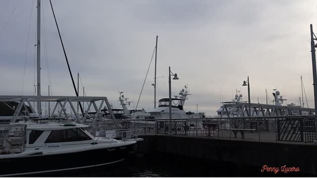 CAP SANTE MARINA, ANACORTES, WA