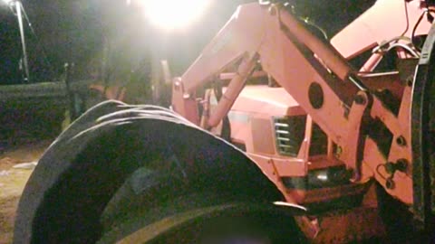 Night chores putting out hay