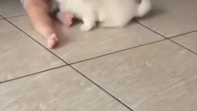 Children and Puppies