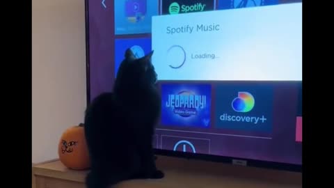 "You are getting veeeery sleeeeepy...."