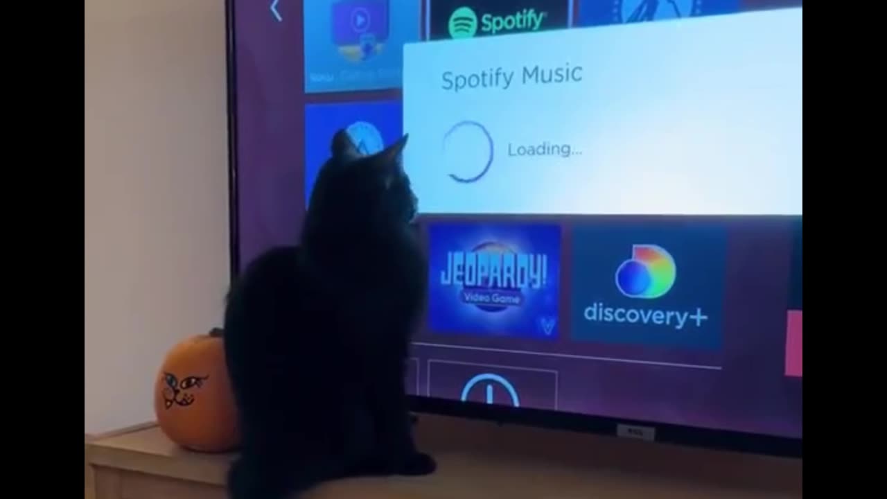 "You are getting veeeery sleeeeepy...."