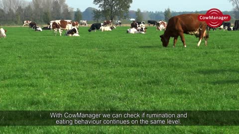 CowManager Testimonial Family Farm Wijers, Voorst (Netherlands)