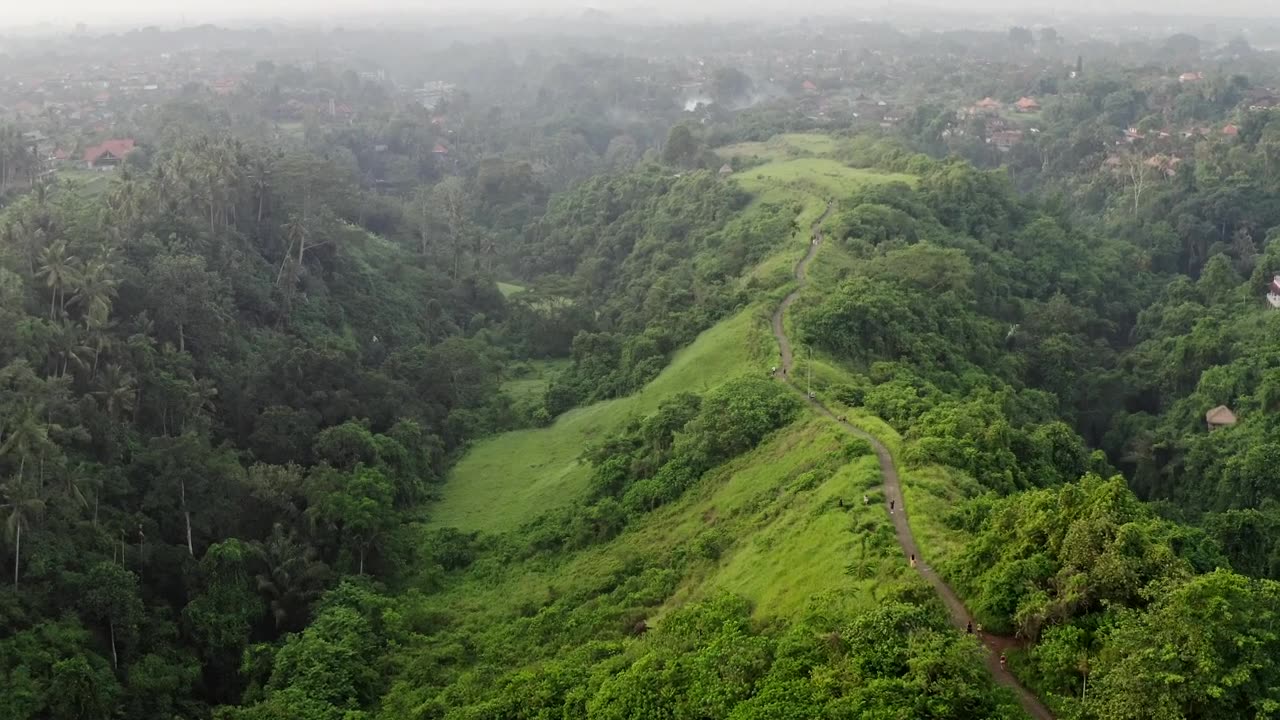 Aerial cinematic view of Indonesian jungle road