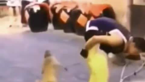 I have done a Wee video in a while so here you go