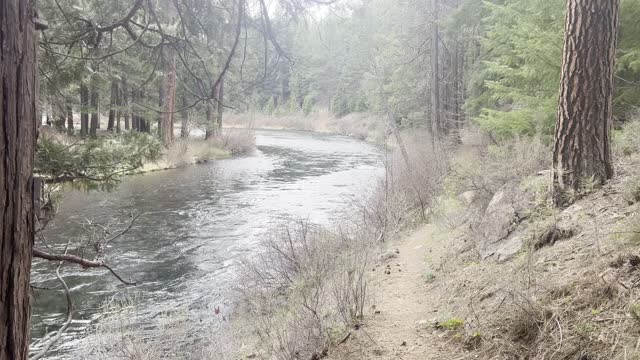 Hiking Incredible Wilderness Trail Overlooking Metolius River – Central Oregon – 4K