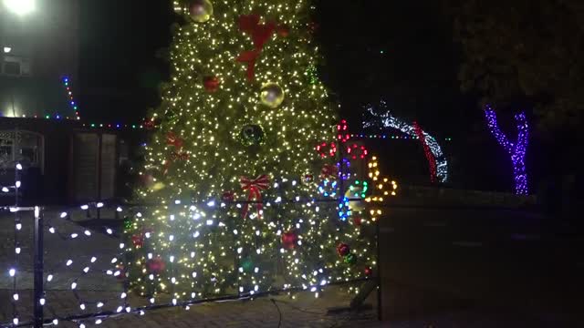 Cameron Park Zoo's Wild Lights helps raise money for improvements