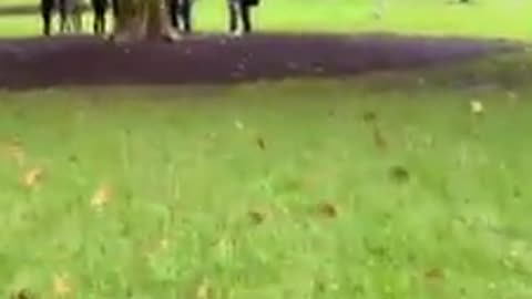 Standing in the Rain