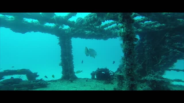 Watching the discovery of the shipwreck on the sea floor by divers, part 1